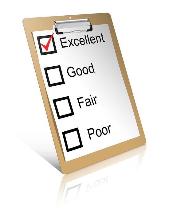 Bisnis Survey