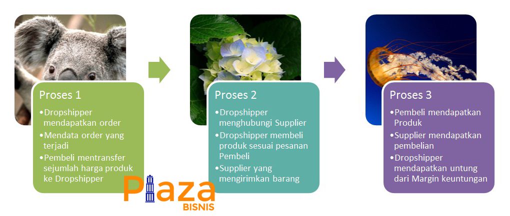 [img.2] Alur Dropship Bisnis Online Gratis Tanpa Modal